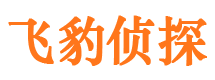 安仁市私人侦探